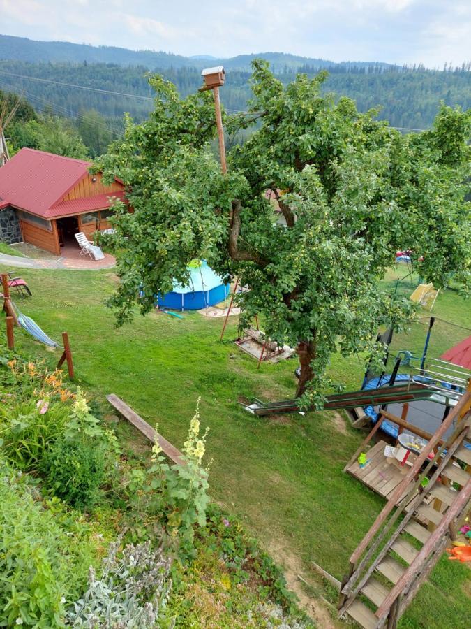 Domek Nad Lasem Koniaków Buitenkant foto