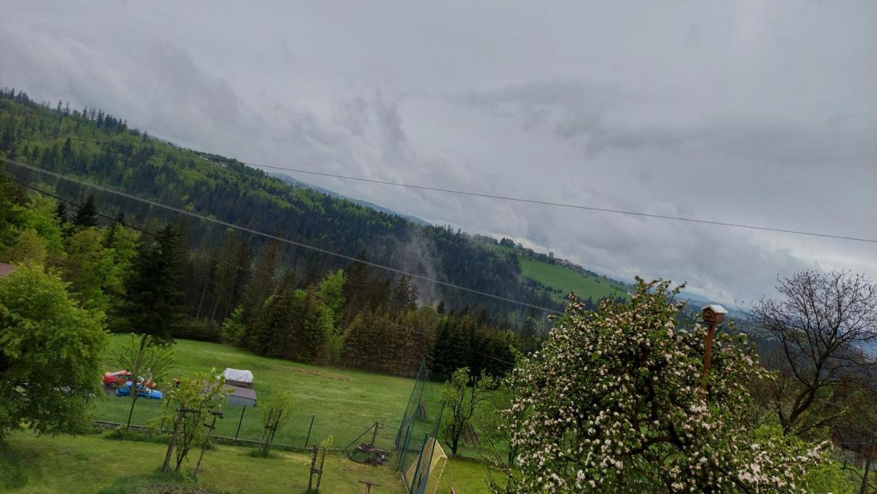 Domek Nad Lasem Koniaków Buitenkant foto
