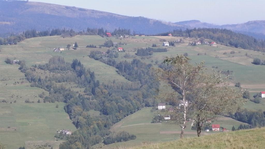 Domek Nad Lasem Koniaków Buitenkant foto